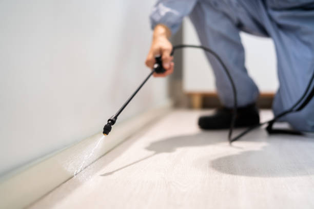 Bed Bug Pre-Treatment Preparation Assessment in Whiteland