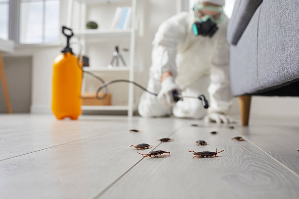 Post-Treatment Bed Bug Interceptor Monitoring in Whiteland