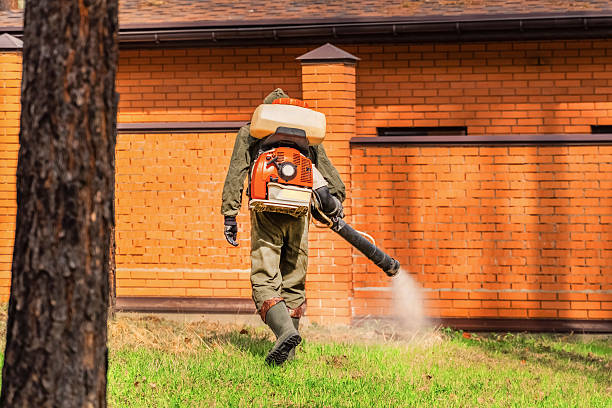Bed Bug Clearance Verification and Documentation in Whiteland